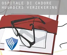 Ospitale di Cadore  huurders verzekering