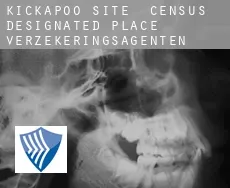 Kickapoo Site 2  verzekeringsagenten