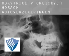 Rokytnice v Orlických Horách  autoverzekeringen
