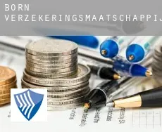 Born  verzekeringsmaatschappij