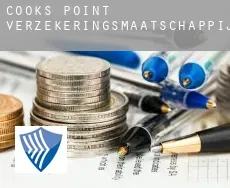 Cooks Point  verzekeringsmaatschappij