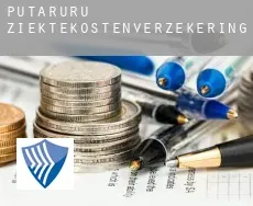 Putaruru  ziektekostenverzekering