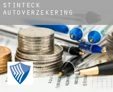 Stinteck  autoverzekering