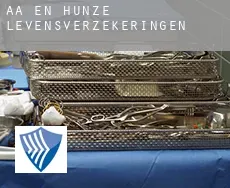 Aa en Hunze  levensverzekeringen