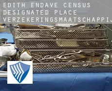 Edith Endave  verzekeringsmaatschappij