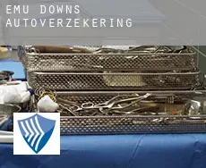 Emu Downs  autoverzekering
