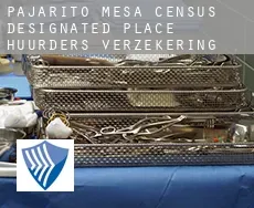 Pajarito Mesa  huurders verzekering