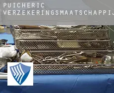 Puicheric verzekeringsmaatschappij