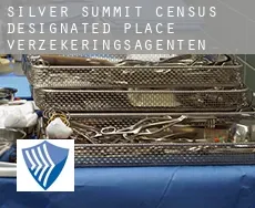 Silver Summit  verzekeringsagenten
