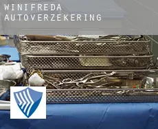 Winifreda  autoverzekering