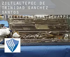Ziltlaltepec de Trinidad Sanchez Santos  verzekeringsmaatschappij