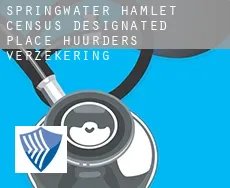 Springwater Hamlet  huurders verzekering